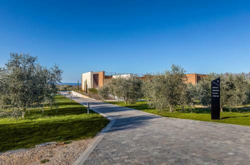 Papafigo Camping