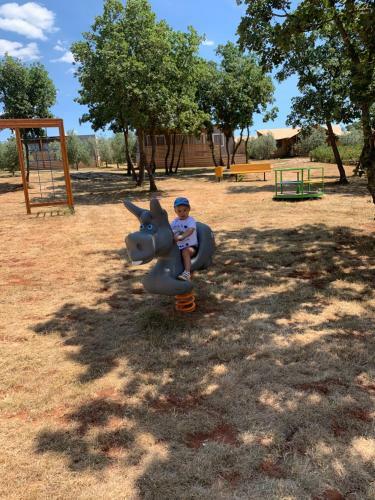 Papafigo Camping