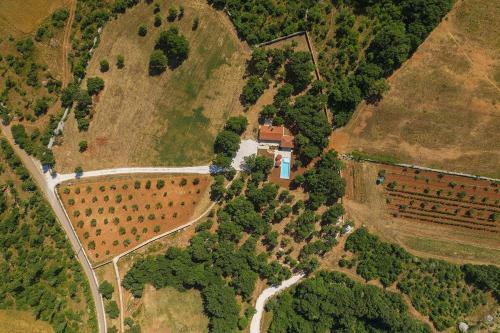 Villa Martinetinka