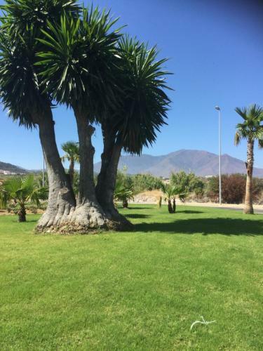 Apartamento Hacienda Dona Julia With Sea View