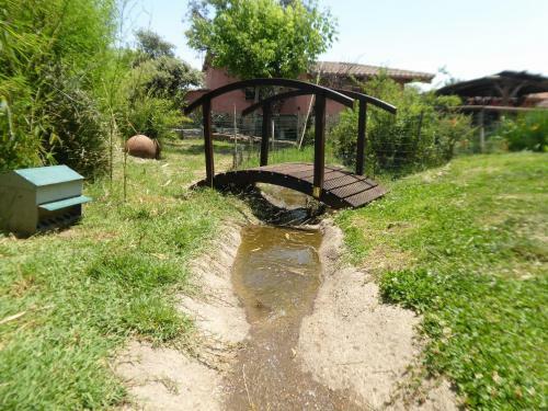 El Rincon De Los Patos 1