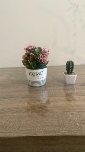 Apartamento Tribu