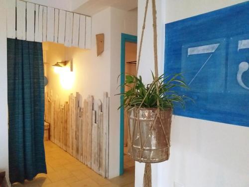 Saveriako, Paradise For Relaxed Free Spirits