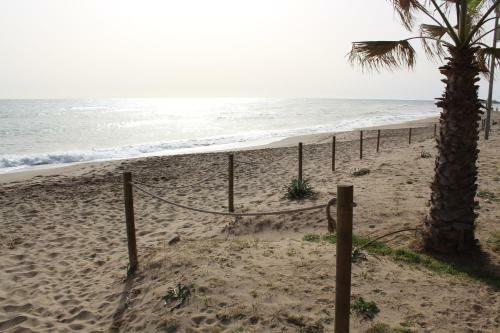 Apartamento Beach Forest Paradise