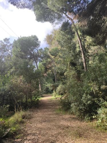 Apartamento Beach Forest Paradise