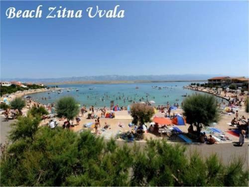 Apartmani Lun Vir