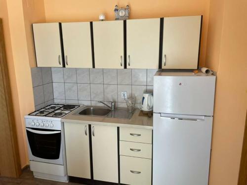Apartment Zdenka