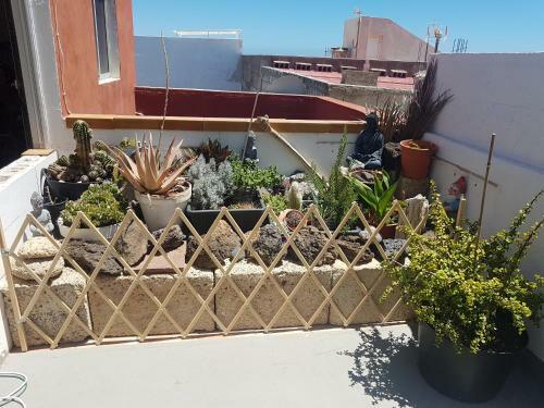 B&B La Caleta Zimmer 2