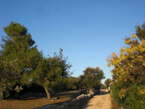 Apartamento Pedinka Viii