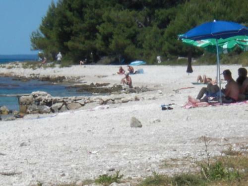 Apartamento Pedinka Viii