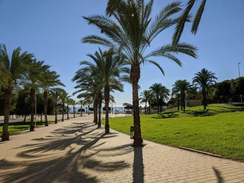 Cala Alta Sun&beach Apartaments