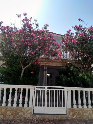 Apartmani Korade