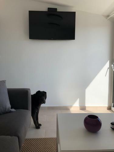 Two Bedroom Apartment Bukal Vir With A Sea View
