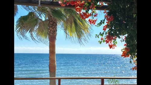 Mi Capricho 2f Beachfront- Apartment With Sea View - Costa Del Sol