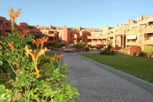 Apartamento El M�dano. La Tejita Paradise.