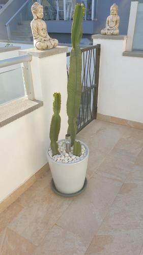 Villa Marinamed R�sidential