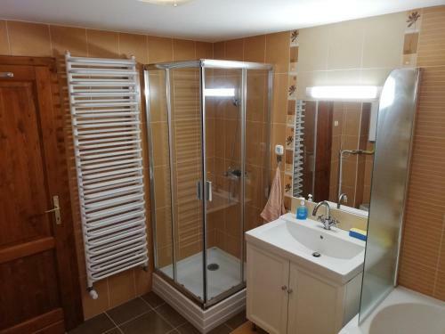 �gica Vend�gh�z
