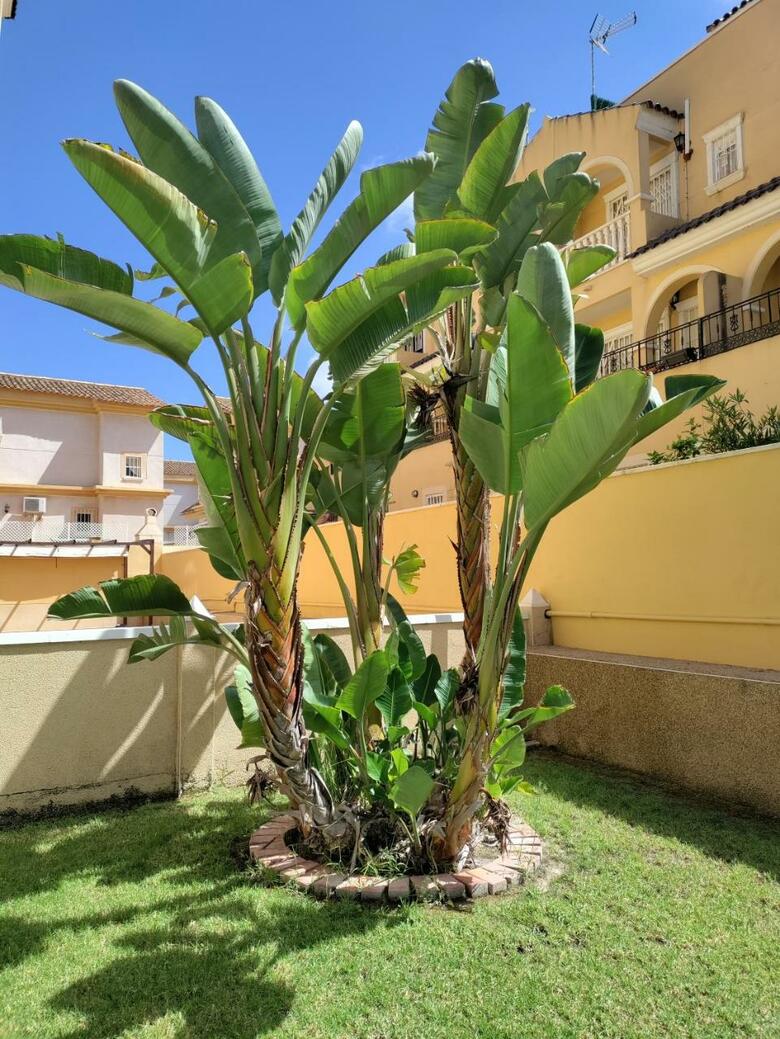 Apartamento Fontana Golf Villamartin
