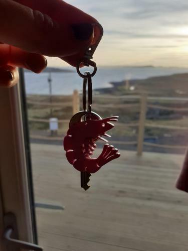 The Sleepy Crofter Glamping - Achiltibuie