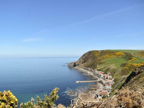 Crovie
