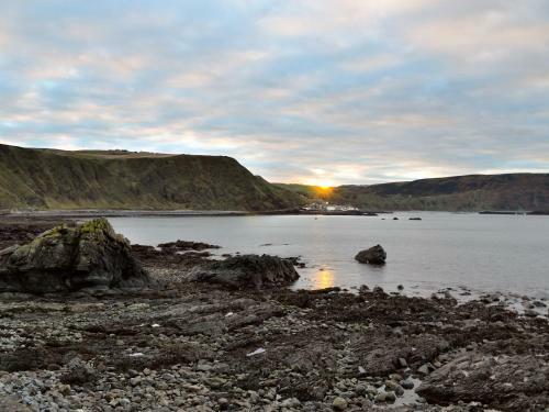 Crovie