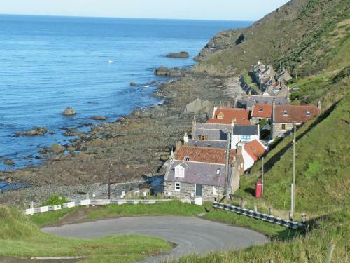 Crovie