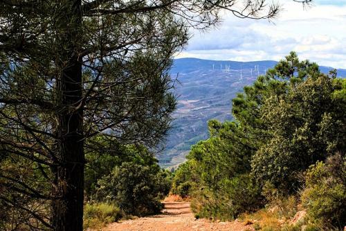 Hostal La Fuente Retreat - B&B