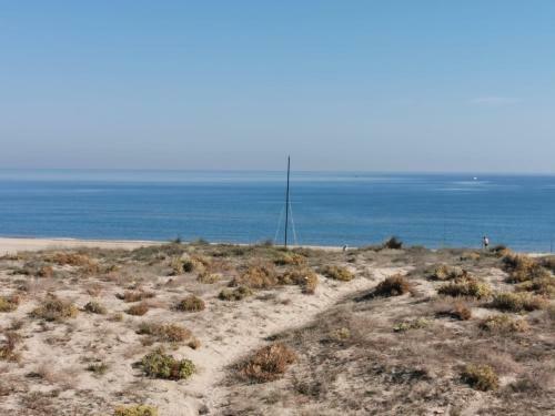 Apartamento Beachfront At Perellonet