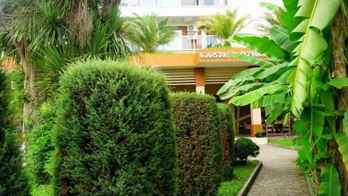 Apartamento Dreamland Oasis Of Happiness