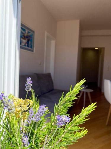 Apartments Dalmatino