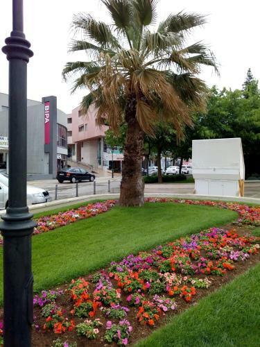 Vodice Mladen Apartman Za Familiju