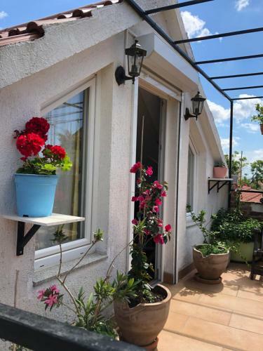 Apartment With Terrace In The Center Od Vodice