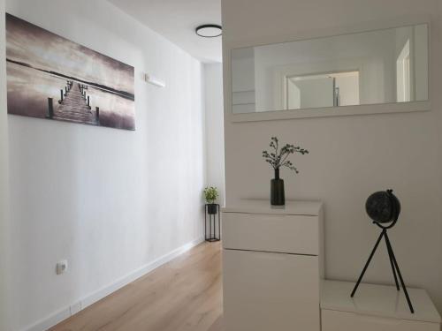 Apartment Slobodan