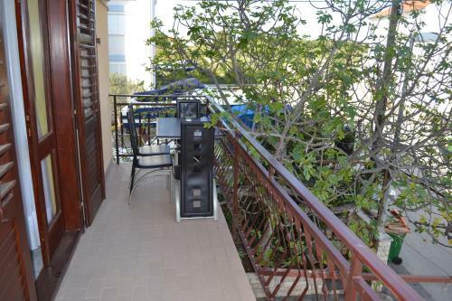 Apartments Celija
