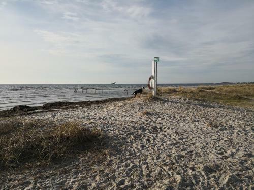 Hostal Spurvereden Ved Vandet
