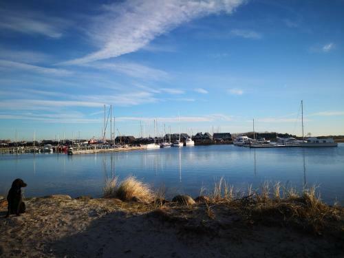Hostal Spurvereden Ved Vandet