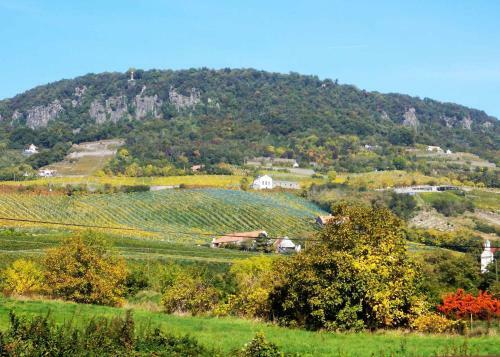 Holiday Home In Badacsony/balaton 18019