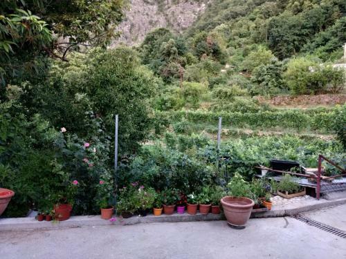 Apartamento Take A Lake - Zabes, Virpazar
