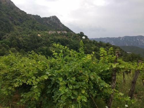 Apartamento Take A Lake - Zabes, Virpazar