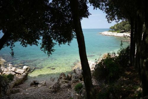 Guest House Galeb