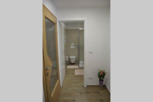 Old Town Apartment Popovic