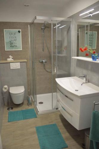 Old Town Apartment Popovic