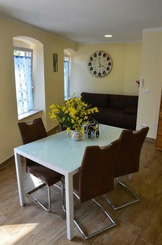Old Town Apartment Popovic