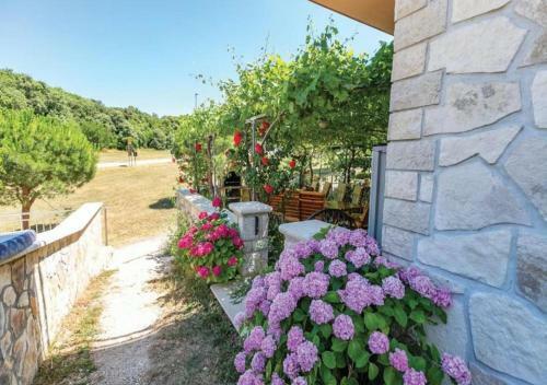 Apartamento Adria Vrsar