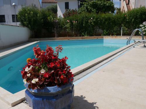 Apartamento Ferienhaus Bozena Appartment 6