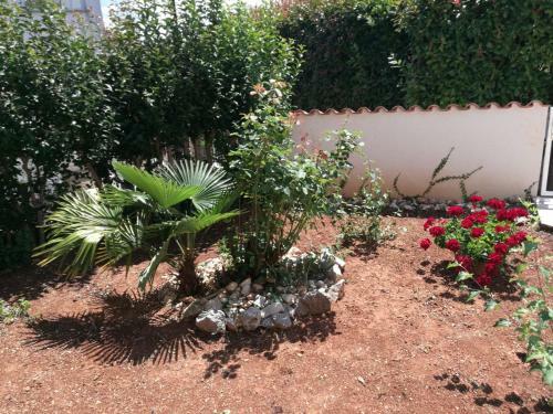 Apartamento Ferienhaus Bozena Appartment 6