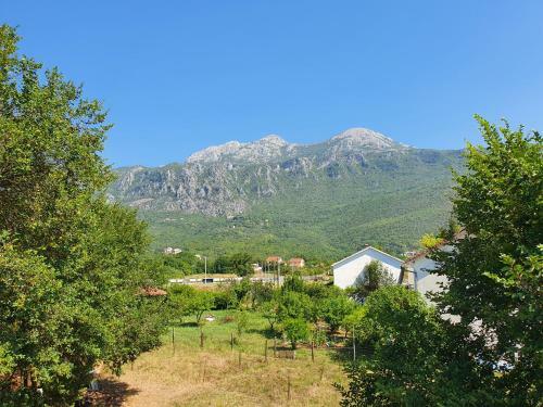 Apartman Brijestovi