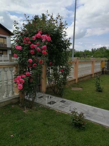 Apartmani Astra