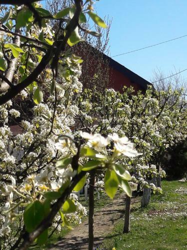 Ku?a Za Odmor Mirni Kutak Vukovar