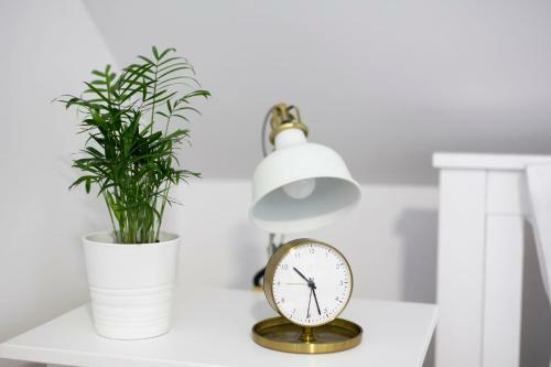 P17 Clement Garden Badacsony